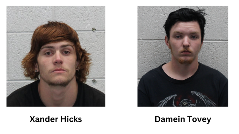 Xander Hicks(left) and Damein Tovey(right)