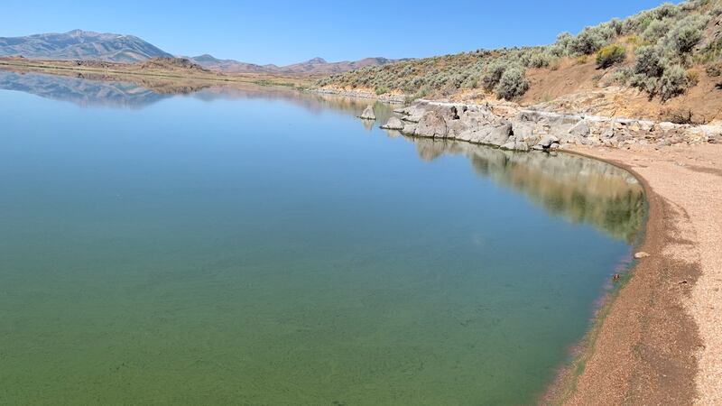 An image of the harmful algae bloom