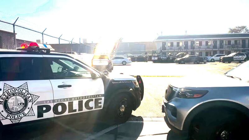 Metro police investigating after dead dogs found at Las Vegas motel