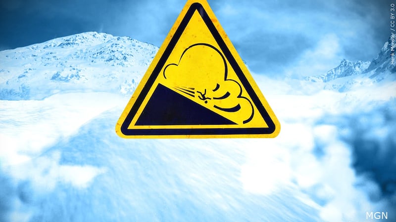 Avalanche generic