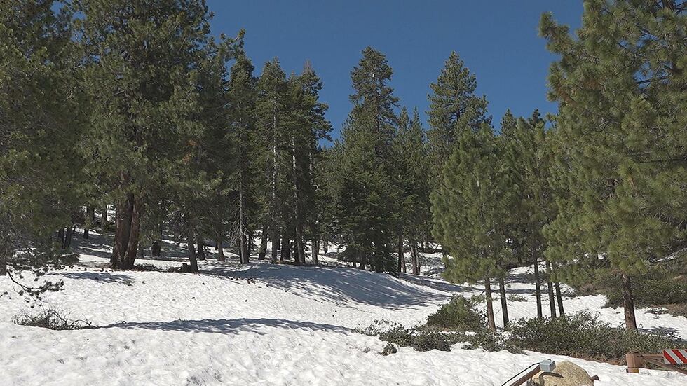 The winter storms continue to affect things on the Tahoe Rim Trail, with much of it still...