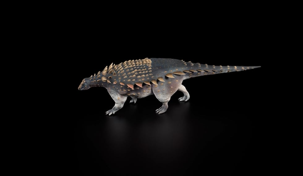 The Natural History Museum says the armored dinosaur was found on the Isle of Wight, off the...