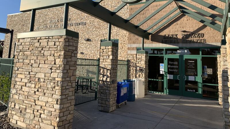 The Nevada Humane Society is offering free adoptions Friday, July 22 to help with an influx of...