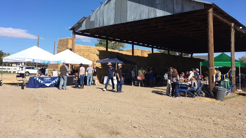 Nevada Ag Field Day at the University Farms in east Reno. Photo by Chris Buckley/KOLO.