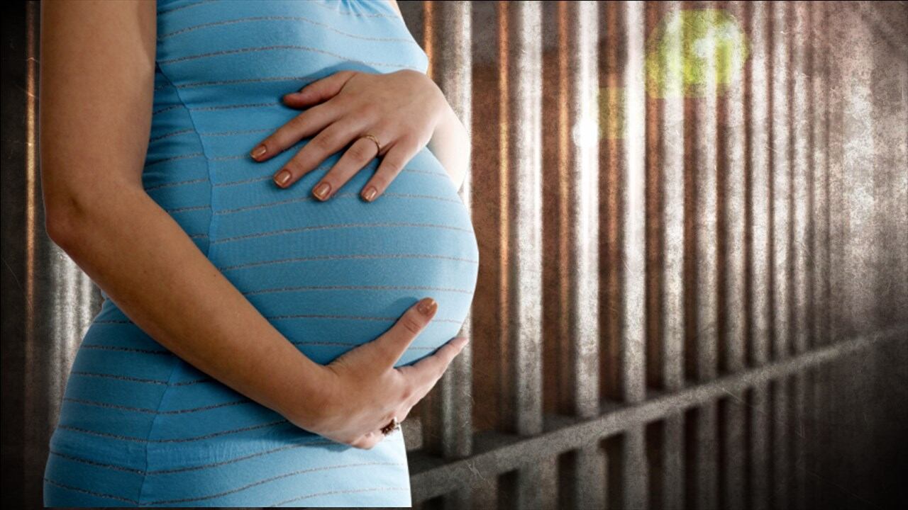 Home Visiting Program is the first of its kind to offer support to pregnant individuals in jail - Vimarsana News