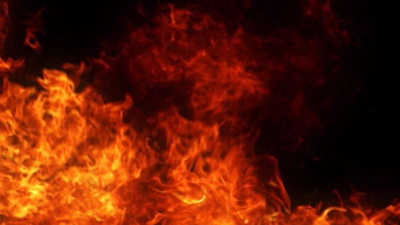 Four small, slow-moving fires have broken out in the Lassen National Forest Area caused by...