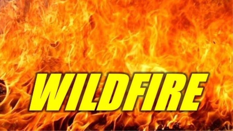 Wildfire graphic